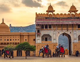 Elephant ride at Amer Fort 